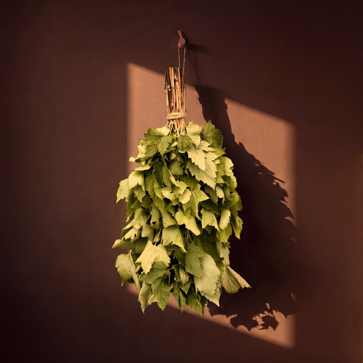 Sauna Whisk Black Currant - lifestyle in sunlight