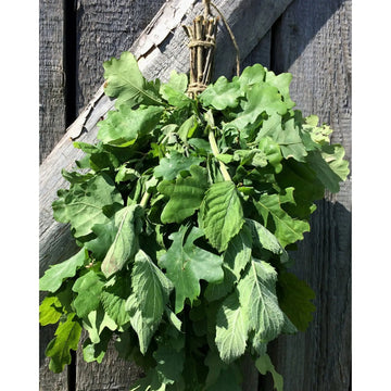 Dried Sauna Whisk / Sauna Vihta - Oak & Mint