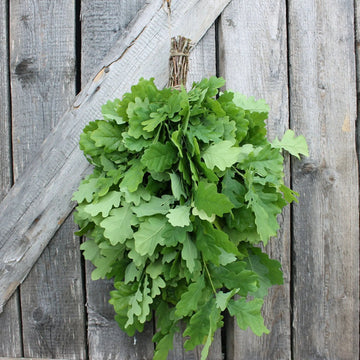 Dried Sauna Whisk / Sauna Vihta - Oak