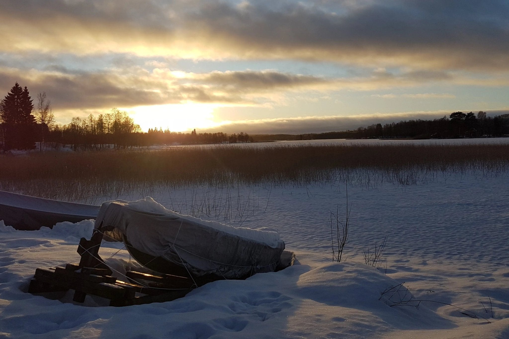 The Finnish Speciality of “Sisu”, Small Challenges & Cold Water Plunges - Finnmark Sauna