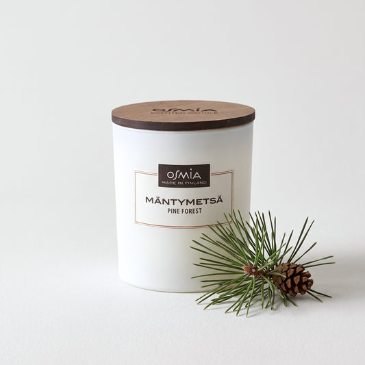 Pine Forest (Mäntymetsä) Scented Candle by Osmia with pine sprig and cone
