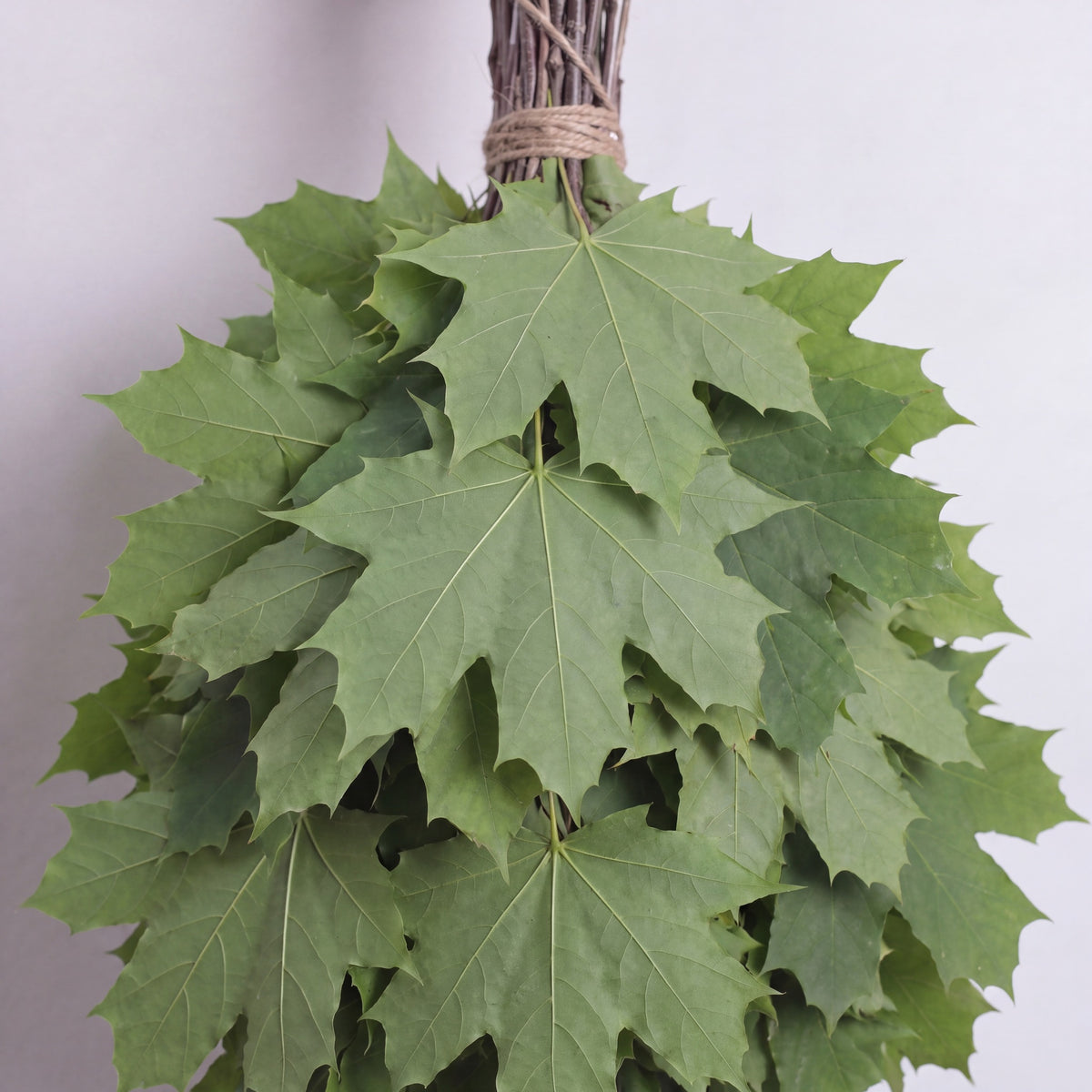 Sauna Whisk Maple - leaf detail