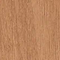 Thermo Alder