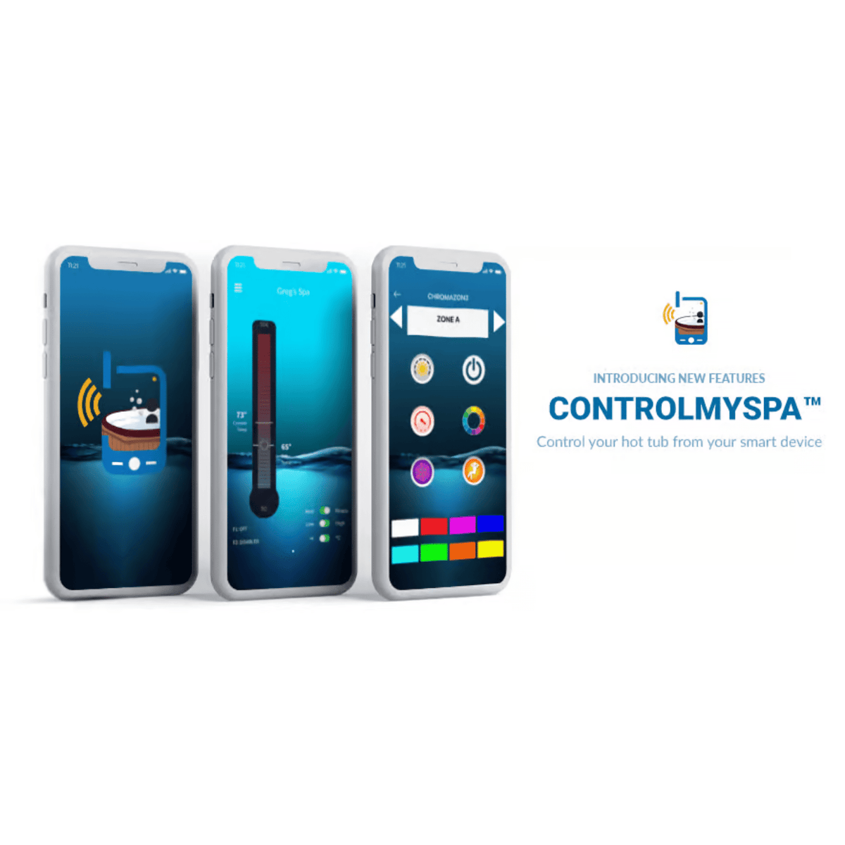 Spa Display Controller Drop Spa Control My Spa WiFi Controller