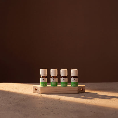 Emendo Sauna Scent Wall Rack (4 x 10ml) - lifestyle in sunlight
