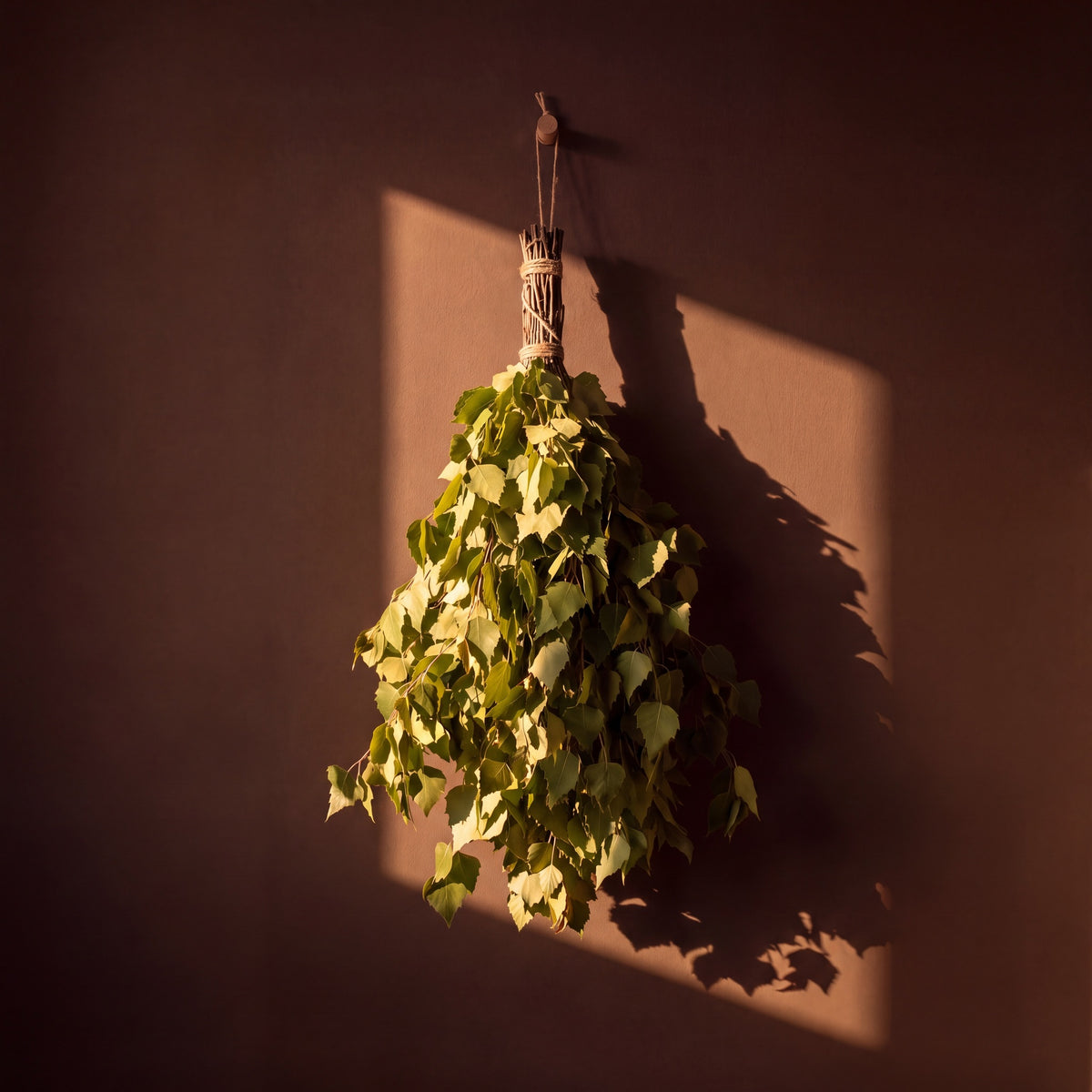 Sauna Whisk Birch - lifestyle in sunlight