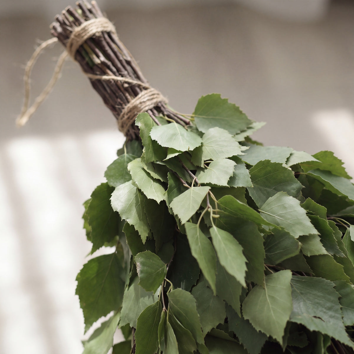 Sauna Whisk Rento Birch - leaf detail