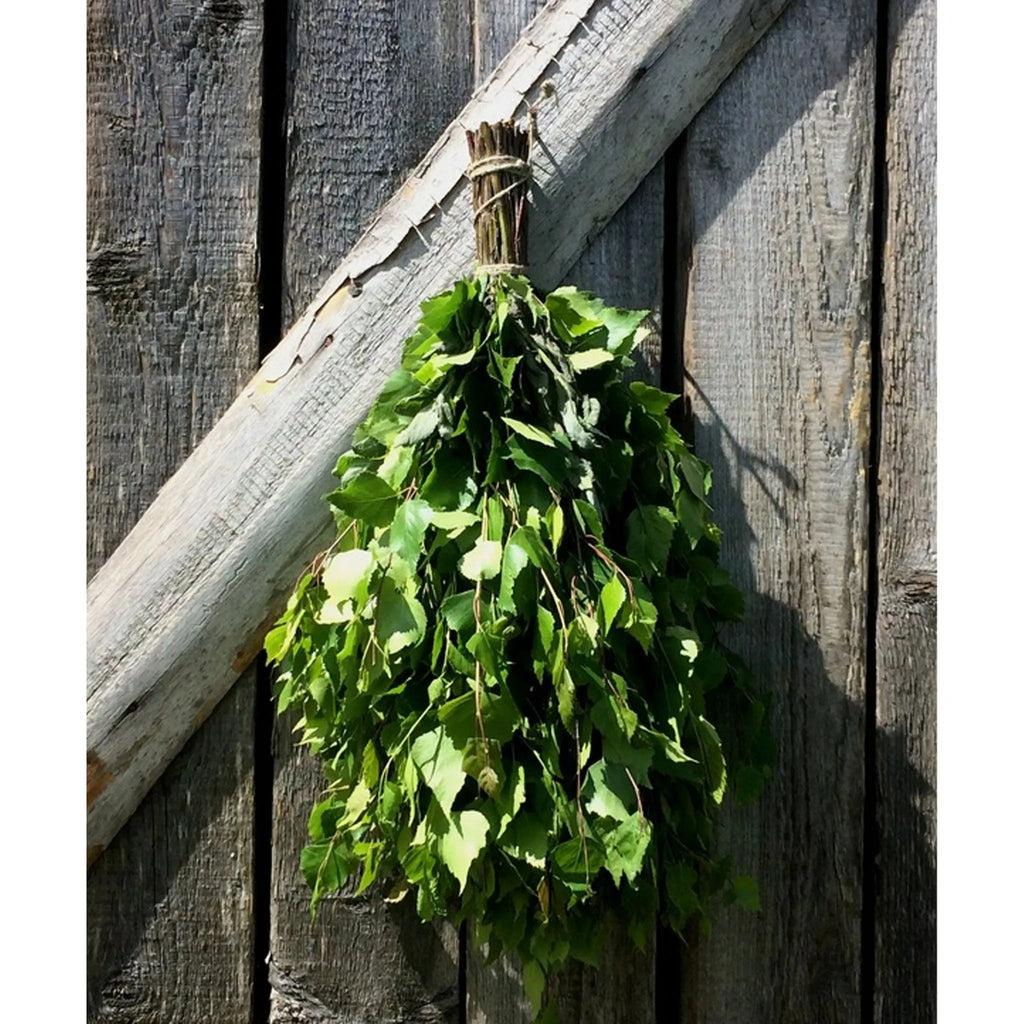 A Finnish sauna scene with a 'vihta' (bath whisk) ready for bathers. Stock  Photo by wirestock